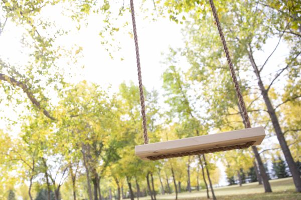 Cost of Swing Installation in Westminster
