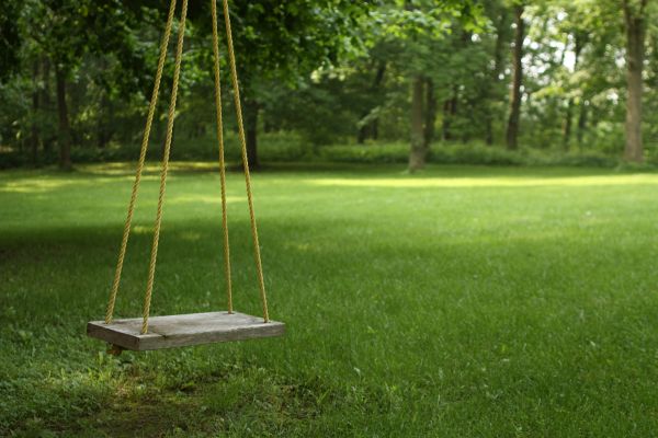 Cost of Rope Swing Installation in Westminster