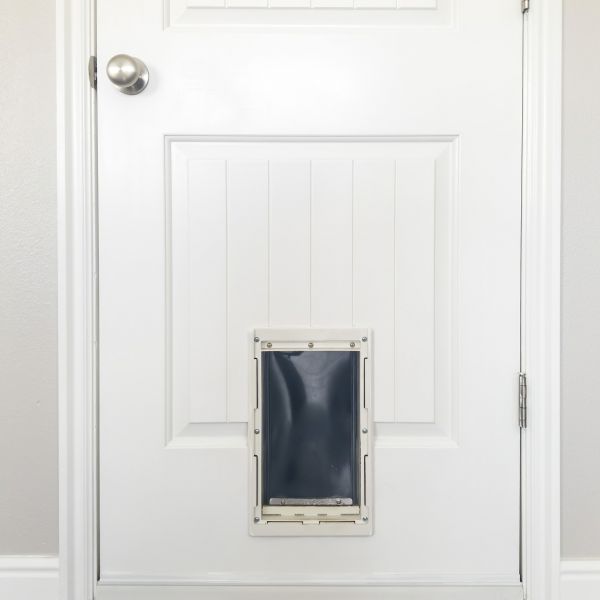 Cost of Pet Door Repair in Westminster