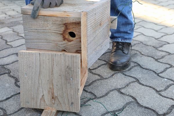 Cost of Birdhouse Mounting in Westminster